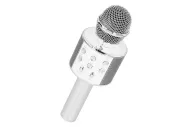Karaoke mikrofon pro děti - stříbrný