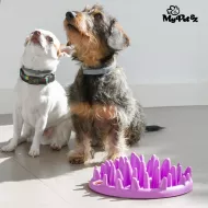 Interaktivní miska pro psy