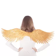 křídla zlatá