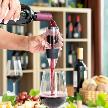 Provzdušňovač vína s filtrem, stojanem a krytem Wineir InnovaGoods